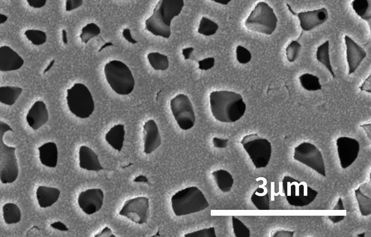 Zooming image of Porous structure