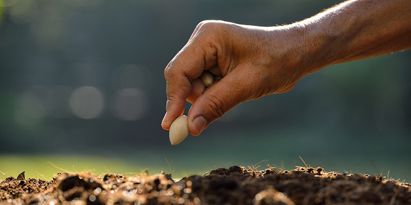 Murata Interactive Communication Space