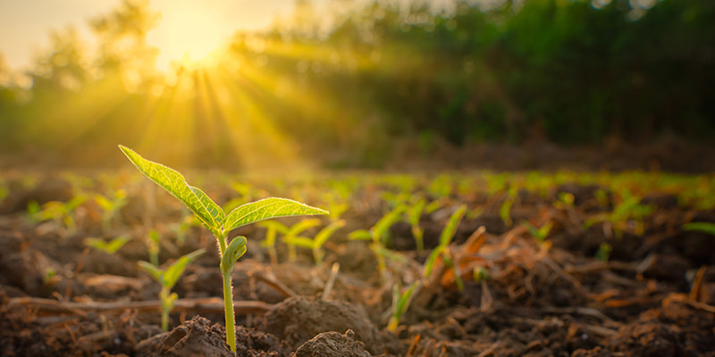 Murata Interactive Communication Space