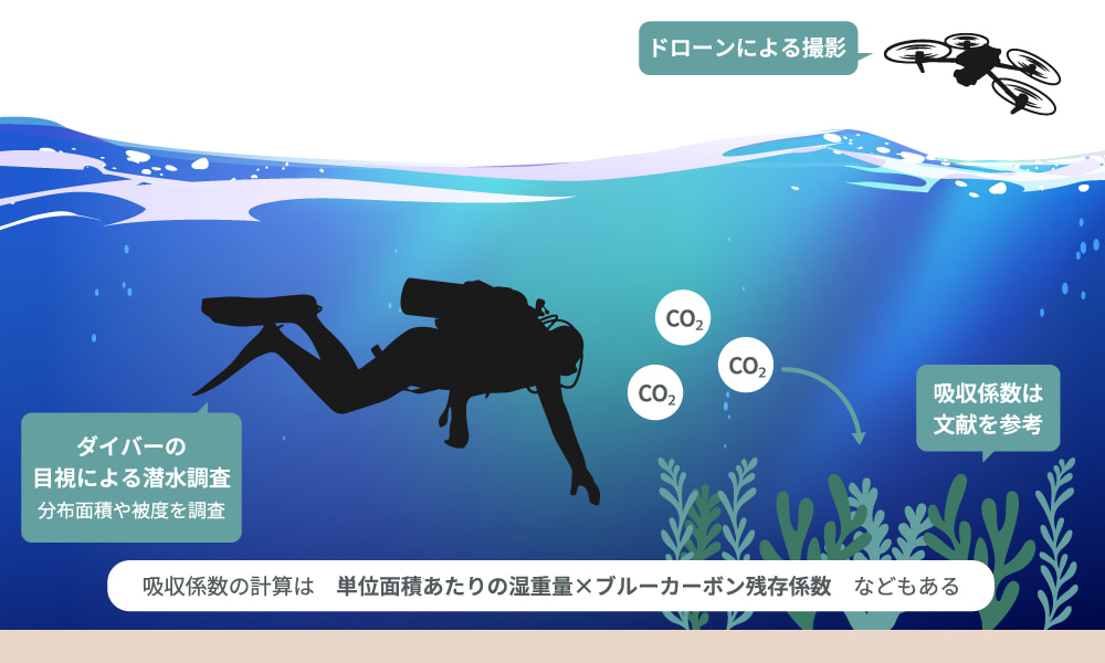 現在主流の藻場の評価方法のイメージ図