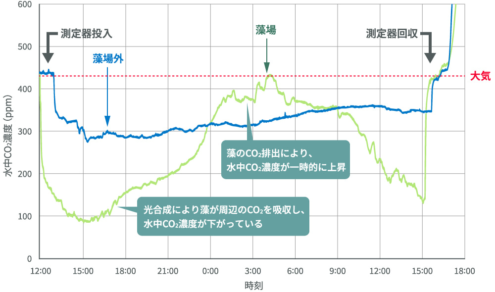 海中CO2濃度の変化「長崎県五島市玉之浦湾」での実証データ